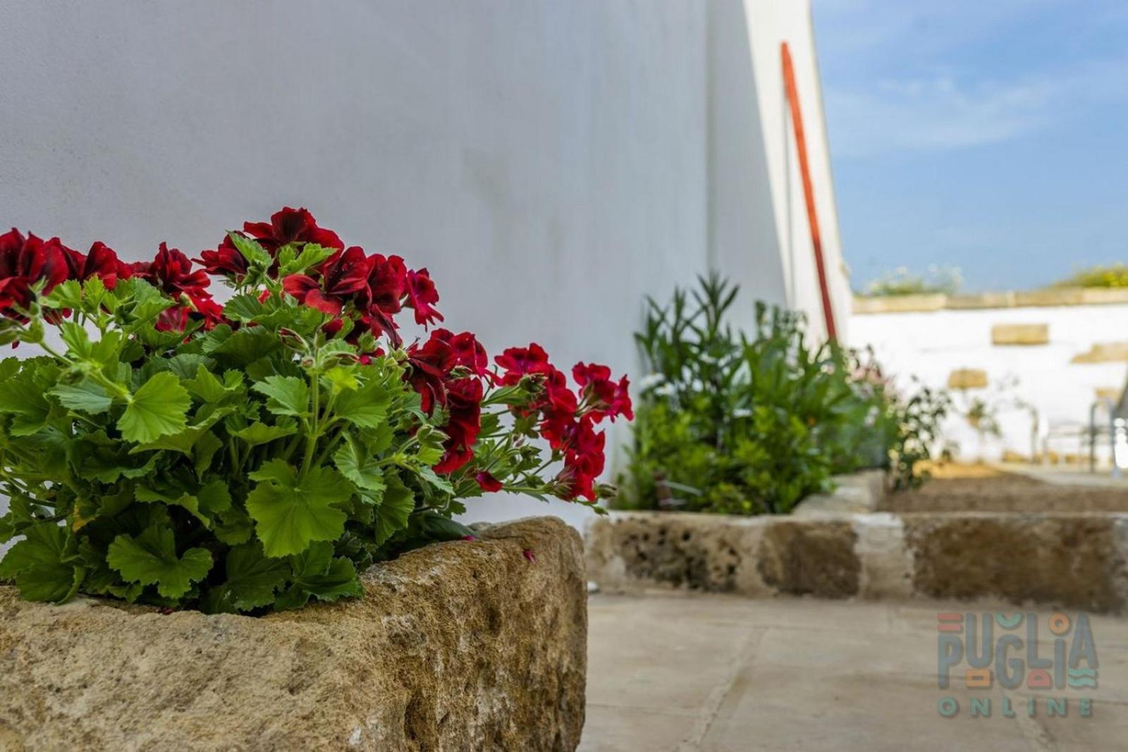 B&B Luce Boutique Felline Exteriér fotografie